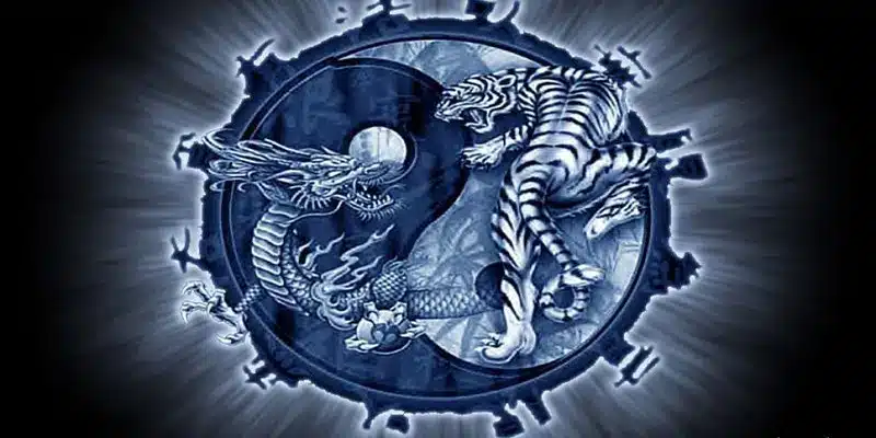 Kinh nghiệm chơi Long Hổ không thua